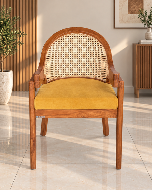 Cane Back Wooden Dining Chair with Cushioned Seat