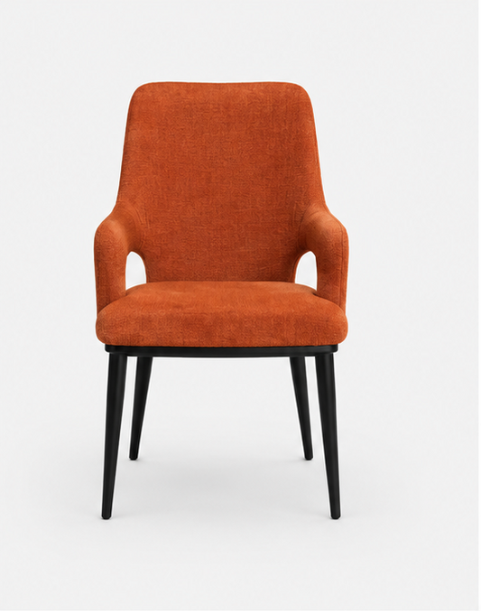 Dining Chair - ABH 61