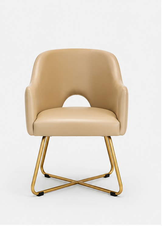 Dining Chair - ABH 66