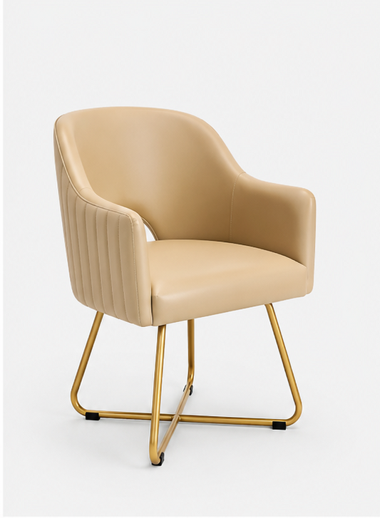 Dining Chair - ABH 66
